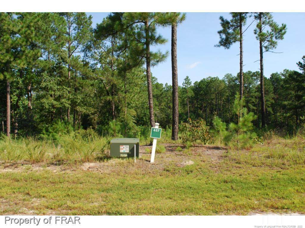 182 Broadlake (637) Lane - Photo 1