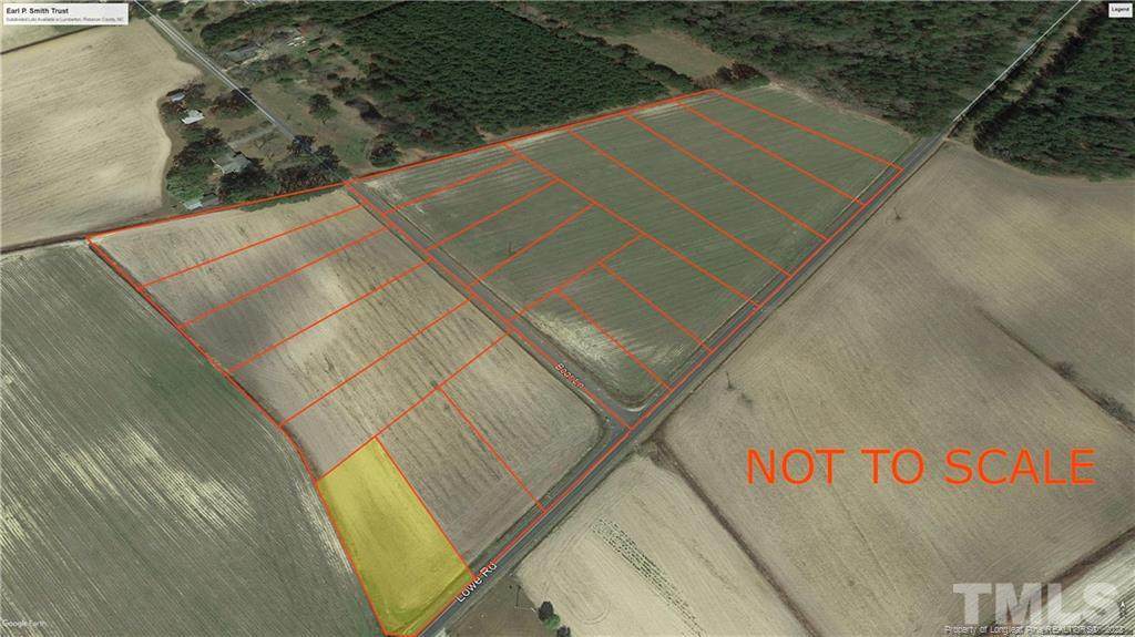 LOT 10 Lowe Road - Photo 1