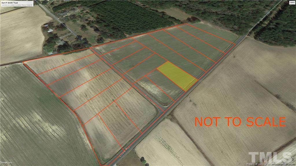 LOT 19 Lowe Road - Photo 1