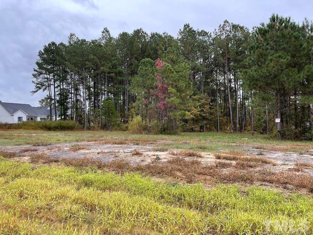 205 Hazelton Farms Lane - Photo 1