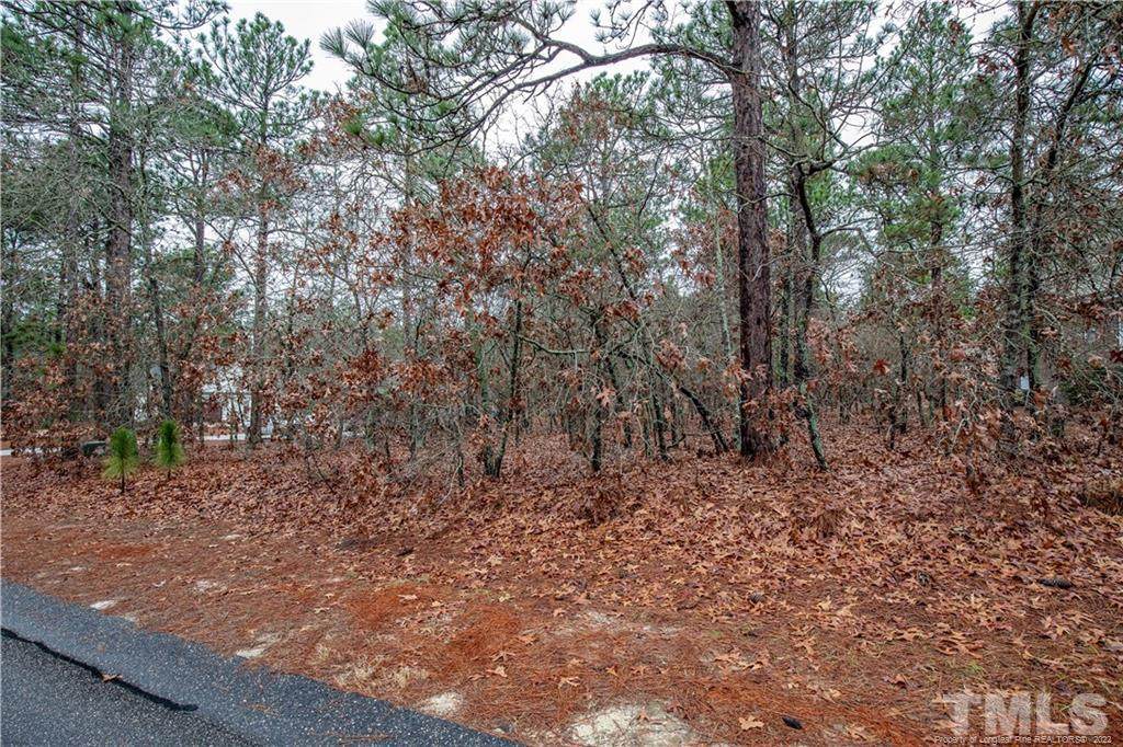 132 Fawnwood Drive - Photo 1