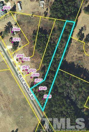Blue Springs Road - Photo 1