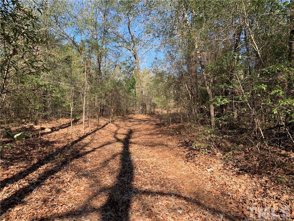 430 Porter Road - Photo 1