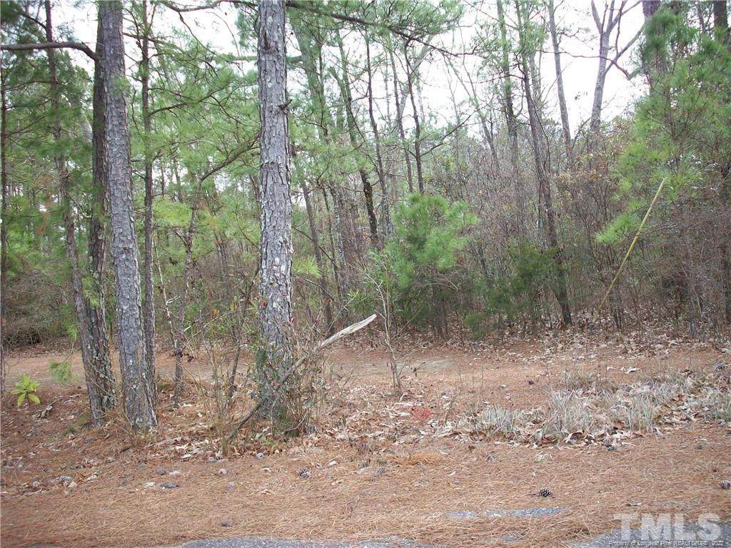 Country Club Drive - Photo 1