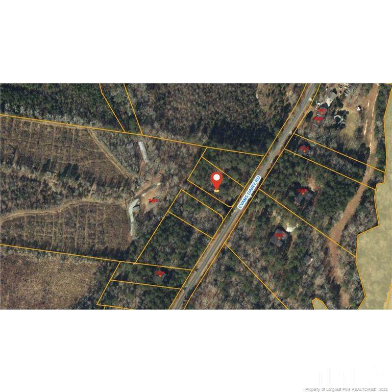 Evans Dairy Road - Photo 1