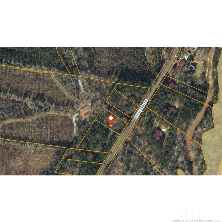 Evans Dairy Road - Photo 1