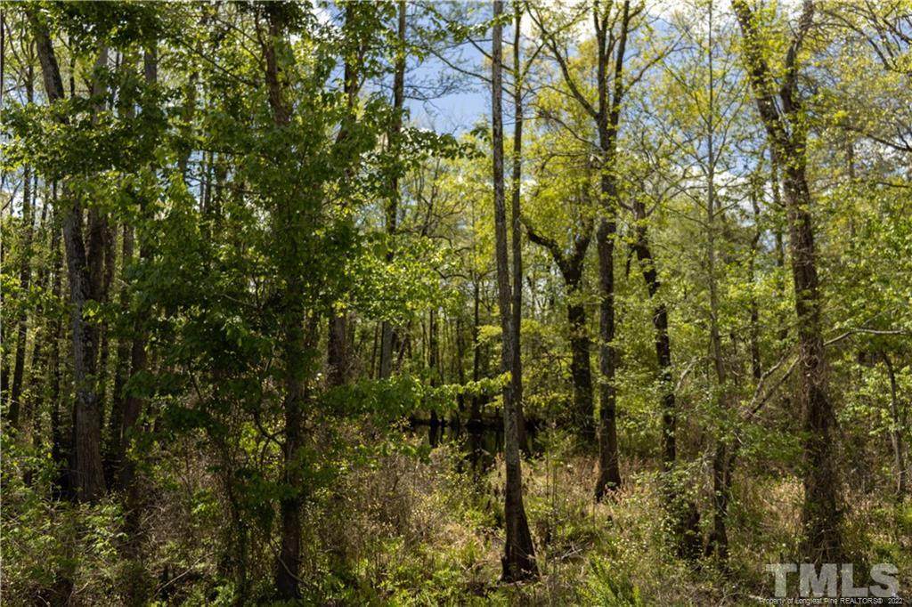 Pine Log Road - Photo 1