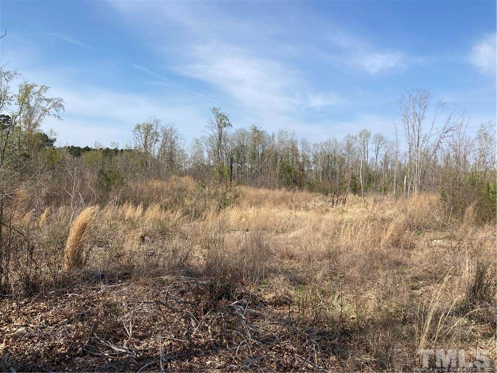 Merritt Drive - Photo 1