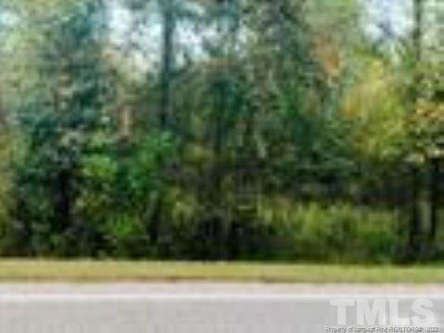 0 Us 421 Highway - Photo 1