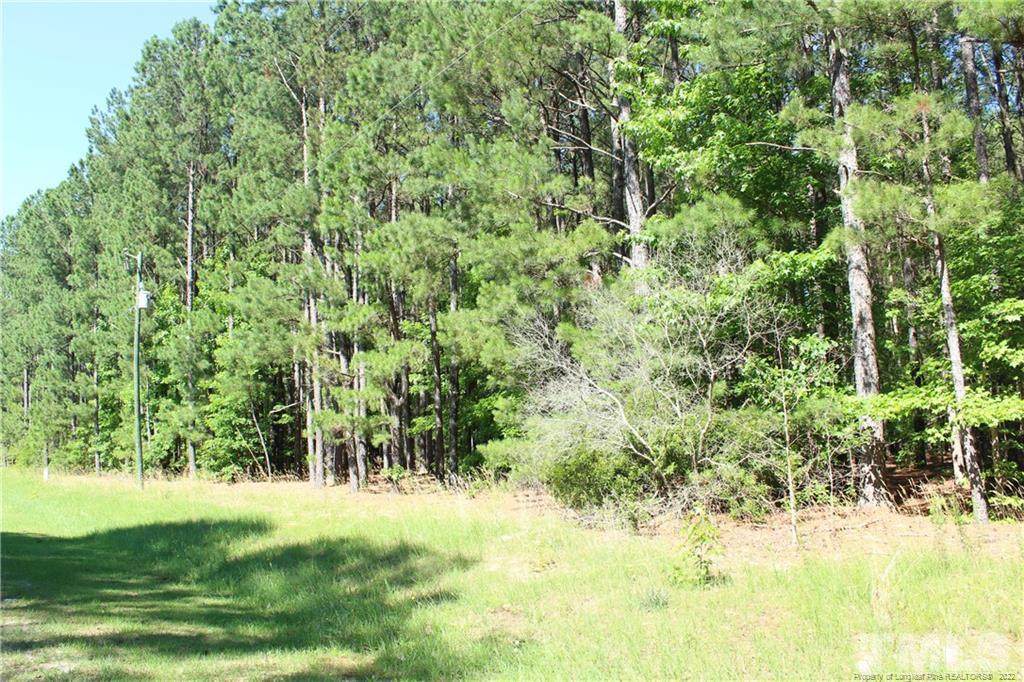 0 Pressly Foushee Road - Photo 1