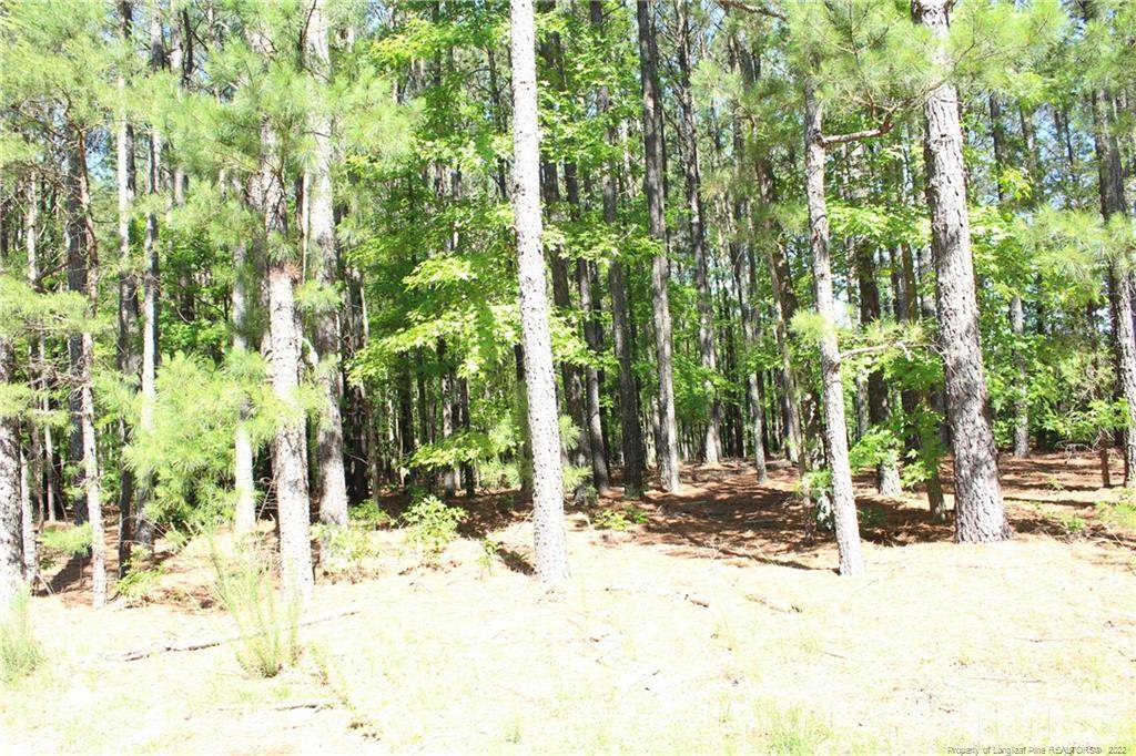 0 Pressly Foushee Road - Photo 1