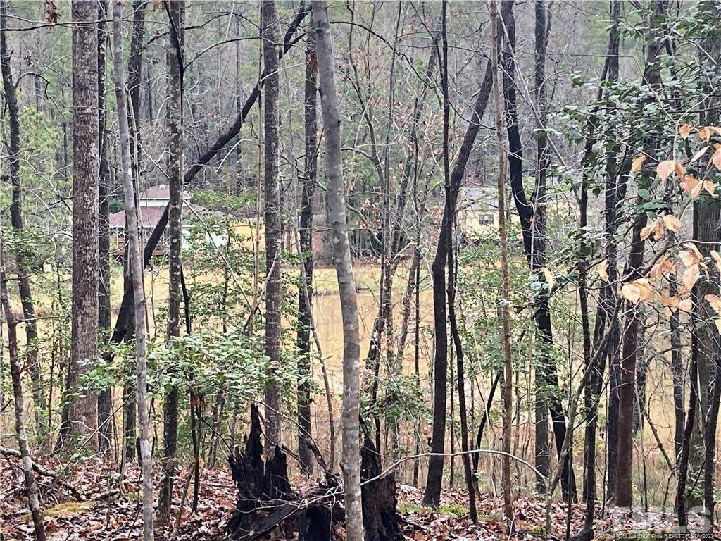 128 Northridge Trail Trail - Photo 1