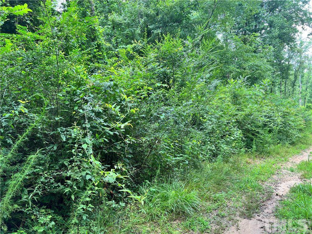 No Address - Photo 1