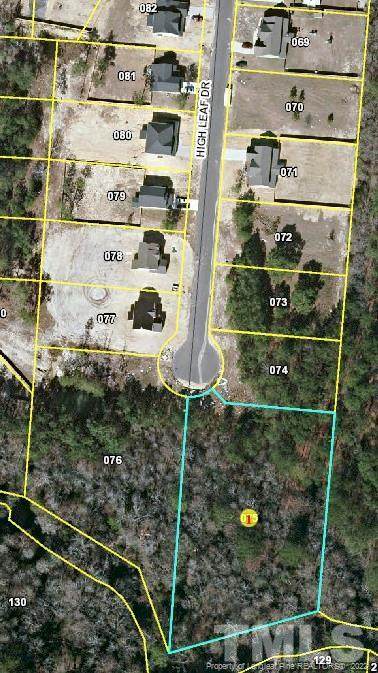 lot 9 High Leaf Drive - Photo 1