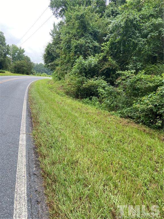 Blue Springs Road - Photo 1
