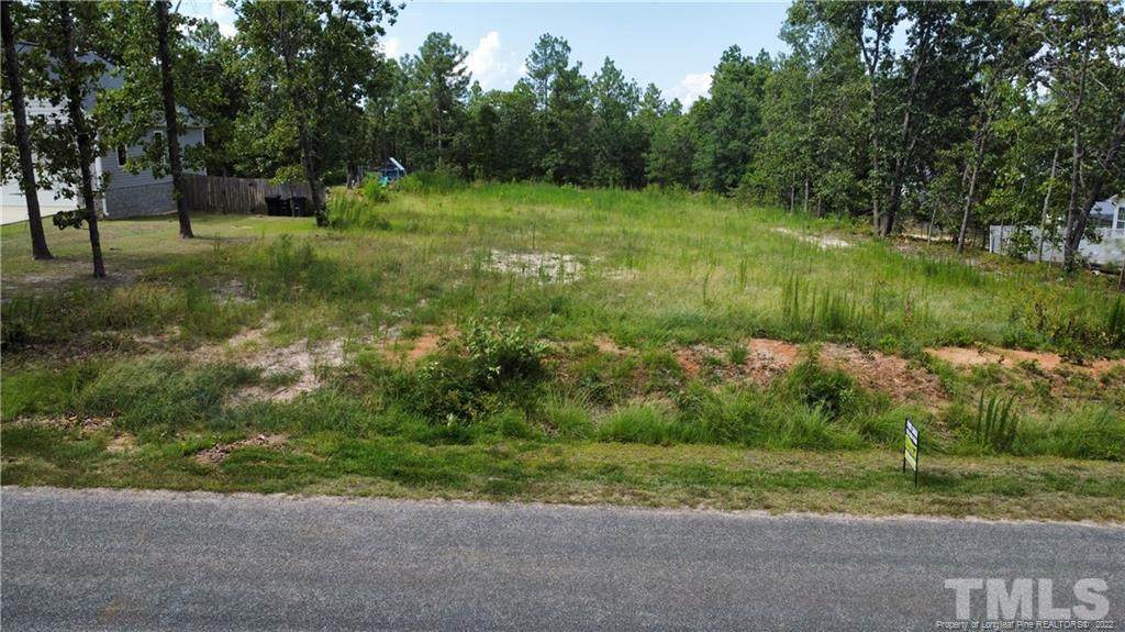 335 D L Phillips Lane - Photo 1