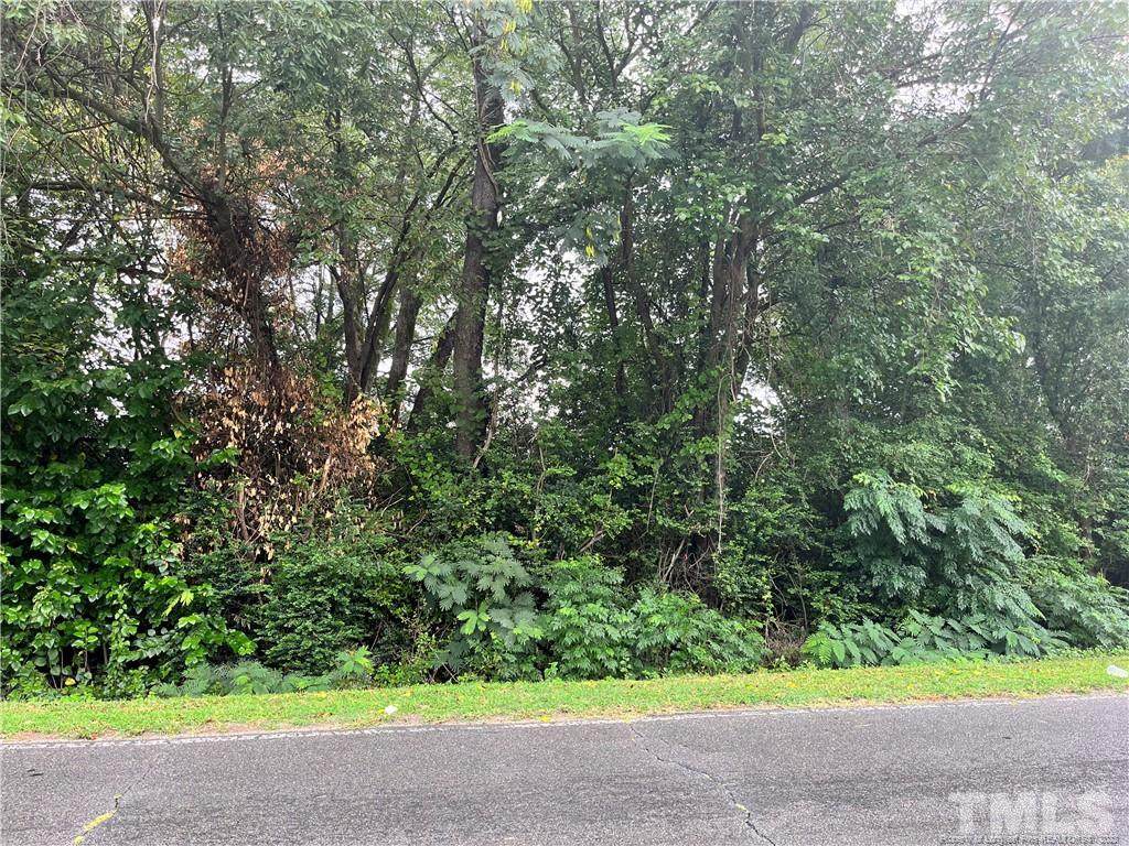 Isaac Weeks Road - Photo 1