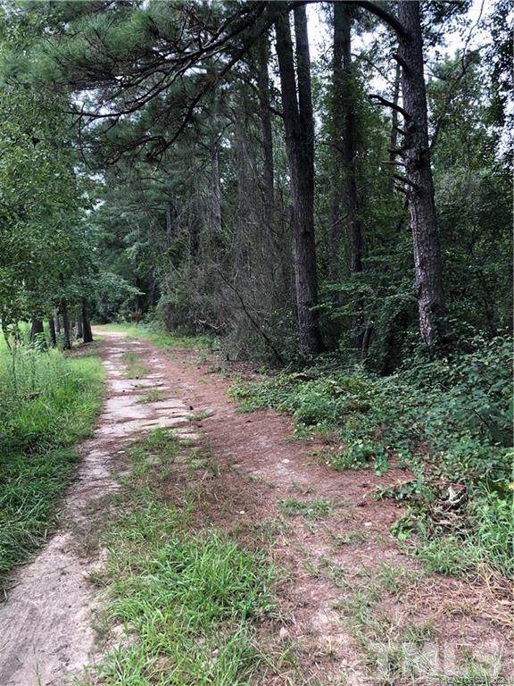 Wake Road - Photo 1