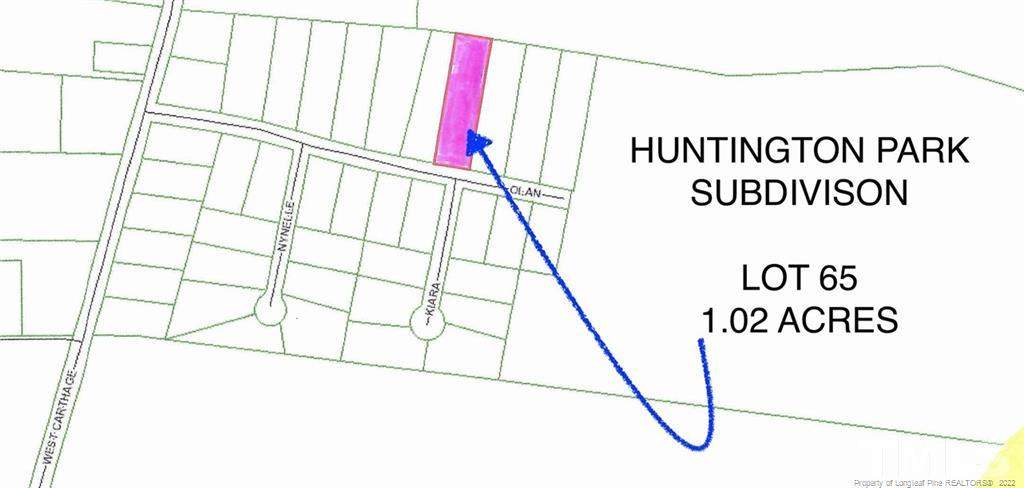 LOT 65 Olan Drive - Photo 1
