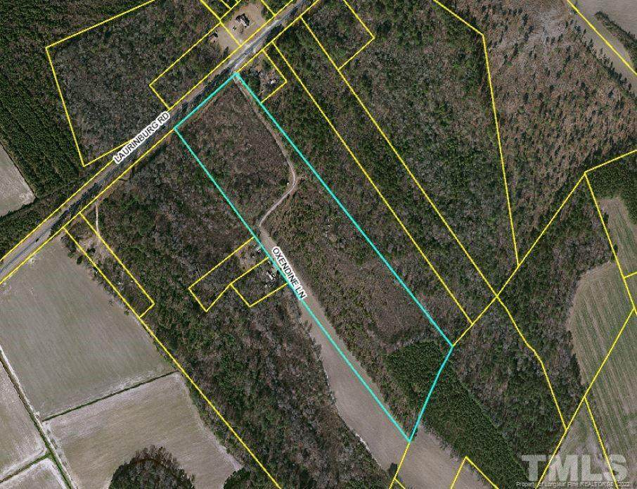 Laurinburg (Tract 1 & 2) Road - Photo 1