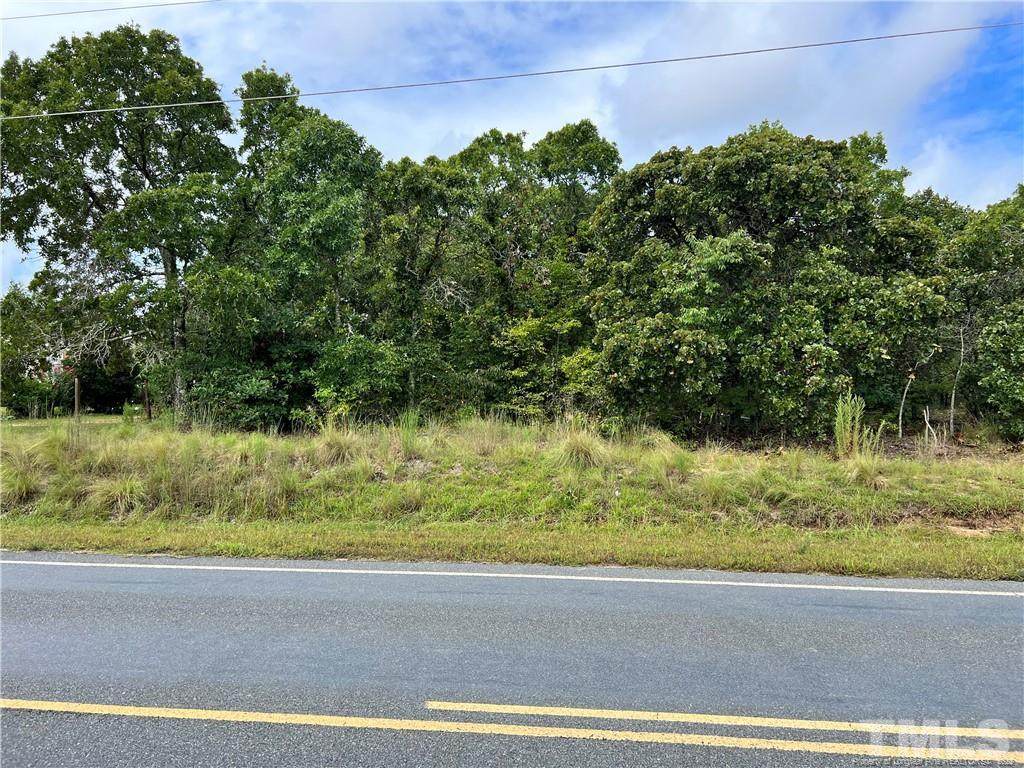 Lot 21 Claude White Road - Photo 1