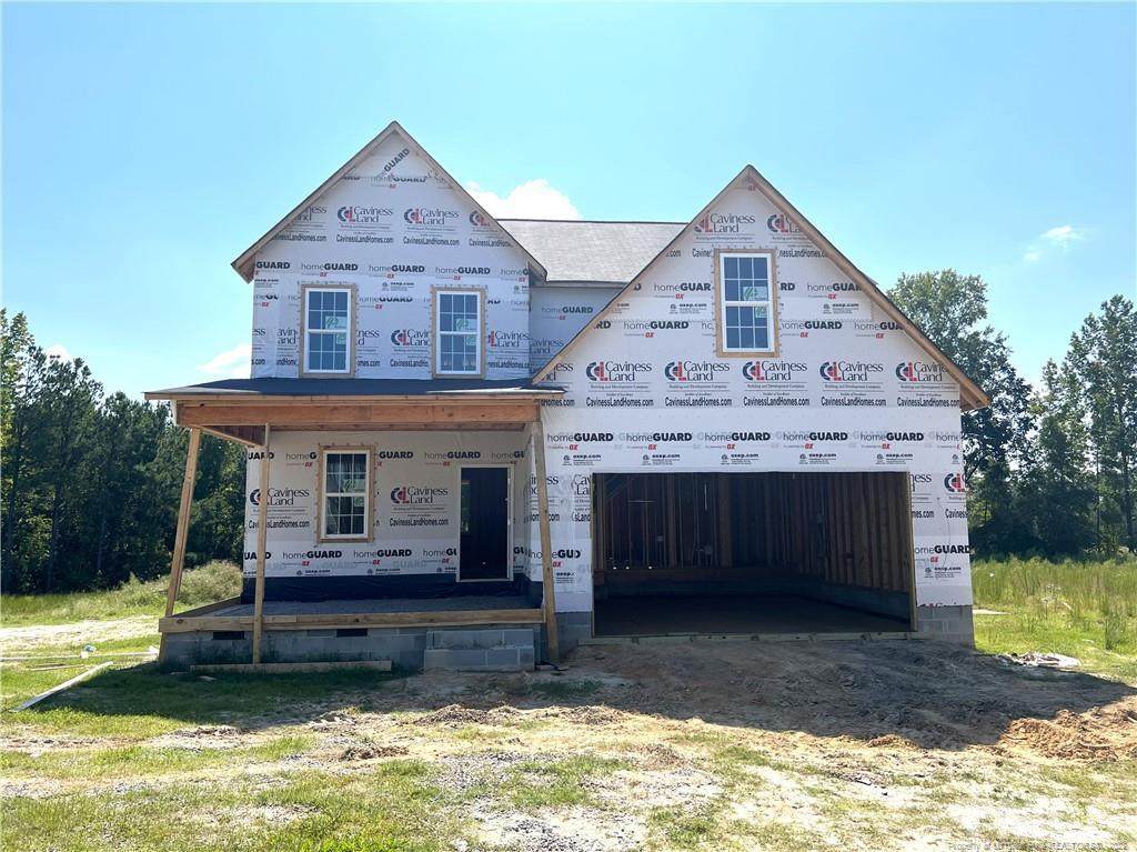 223 High Branch Drive - Photo 1