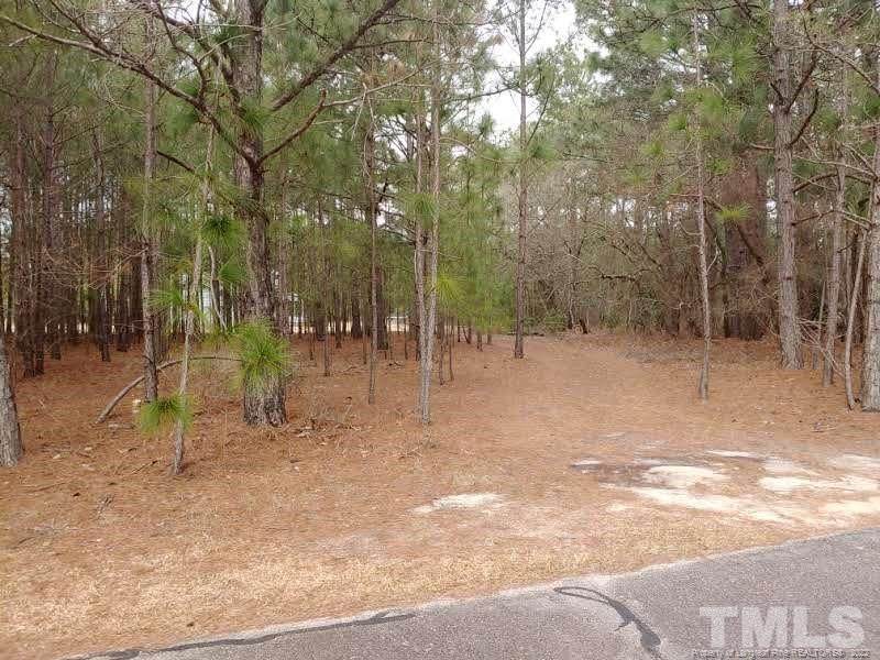 378 Moss Pink Drive - Photo 1