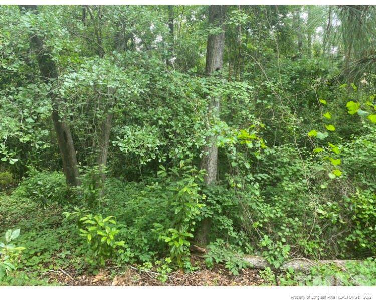 322 Moss Pink Drive - Photo 1