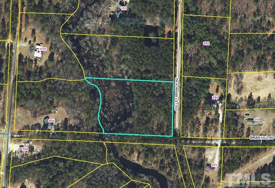 Gulley Branch Road - Photo 1