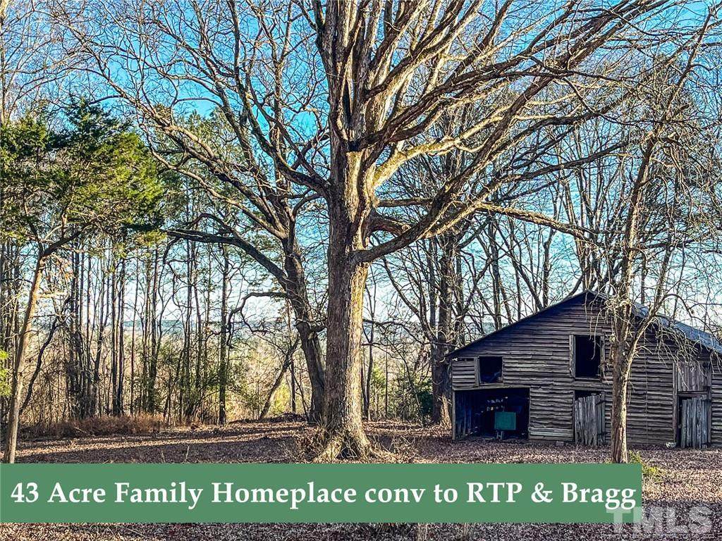 2342 Buckhorn Road - Photo 1