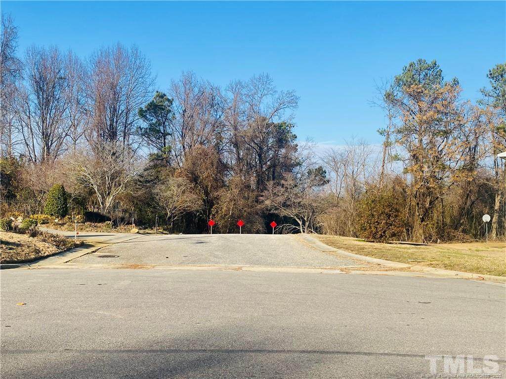 26.5 Acres Mcintyre Land - Photo 1