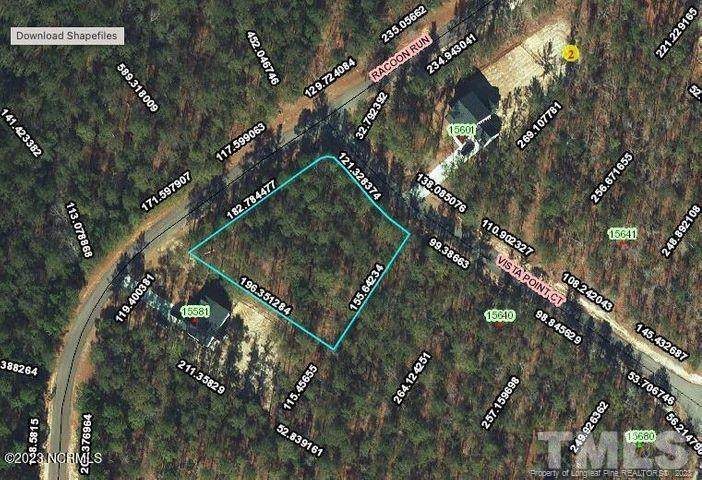 7 Raccoon Run/Vista Point - Photo 1