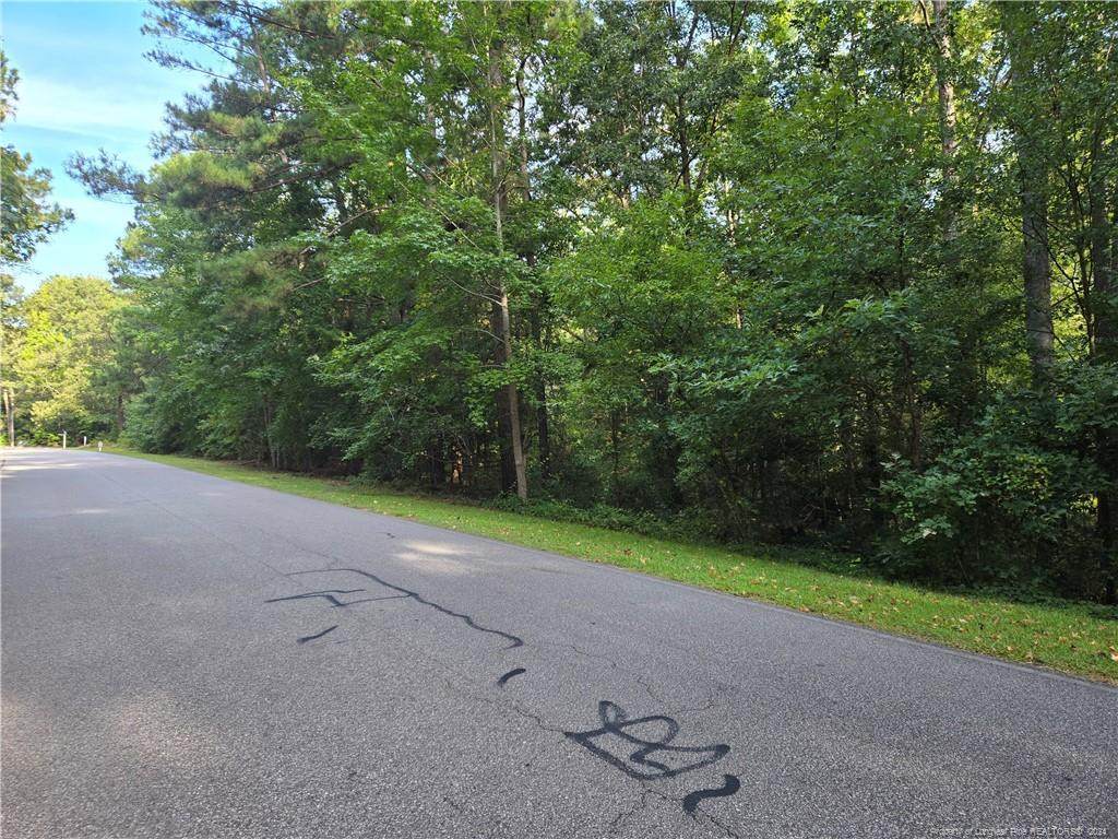 535 Loblolly Drive - Photo 1