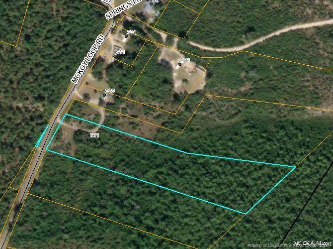 0 Mckoy Loop Road - Photo 1