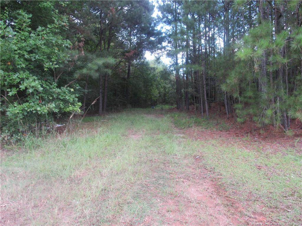 0 Boone Trail Road - Photo 1