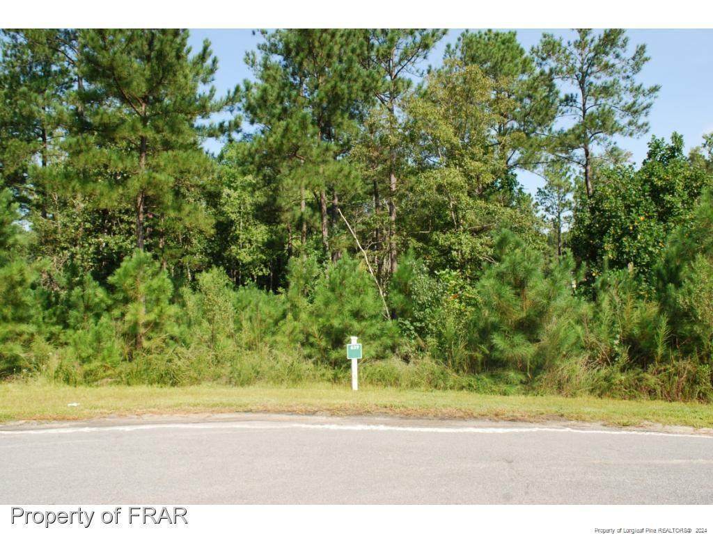 222 Broadlake (639) Lane - Photo 1