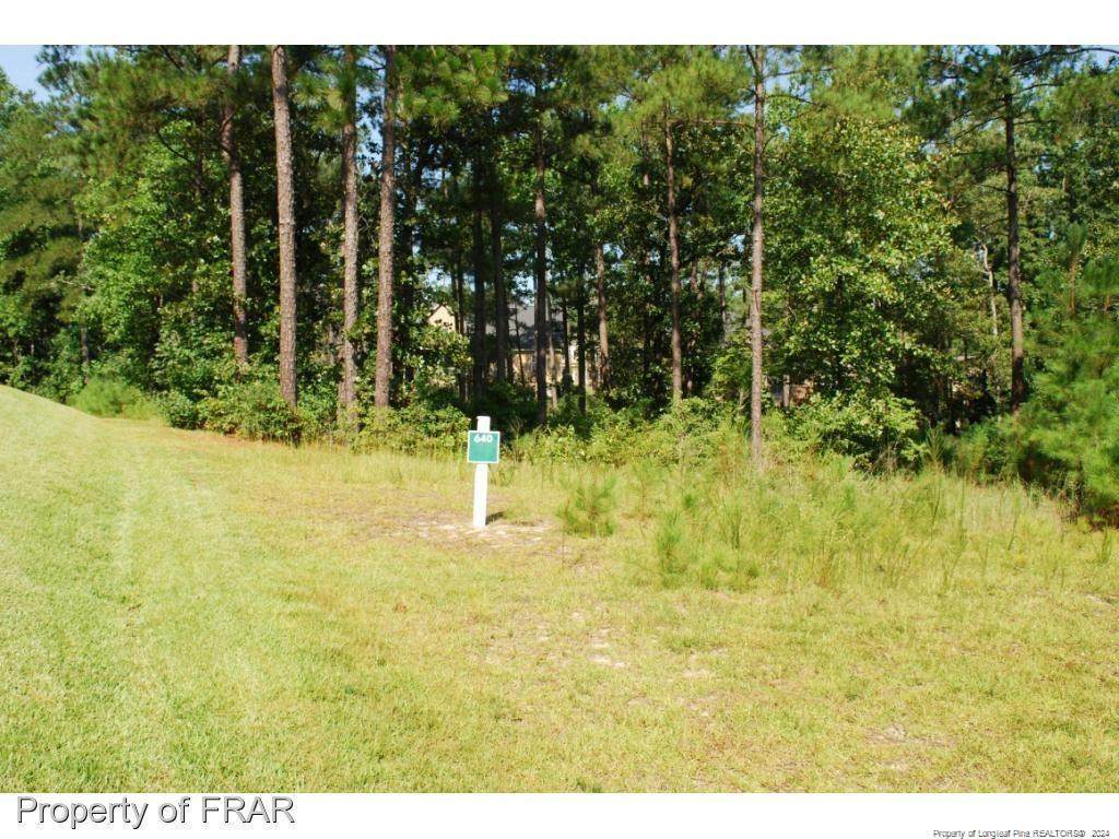 232 Broadlake (640) Lane - Photo 1