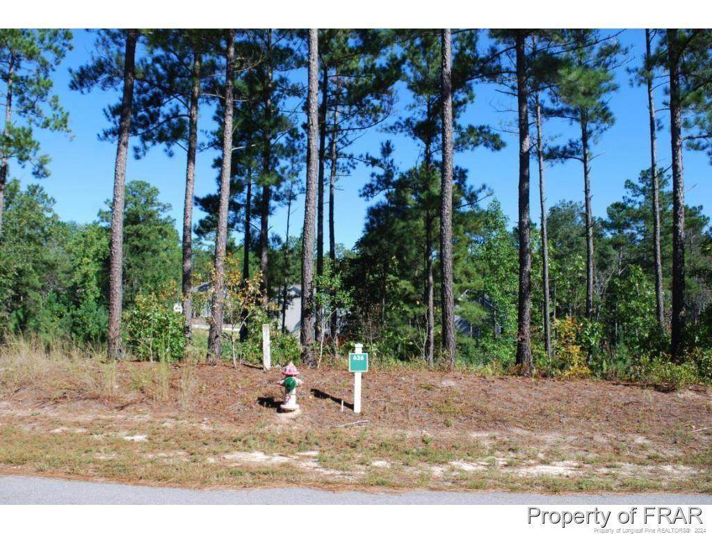 162 Broadlake (636) Lane - Photo 1
