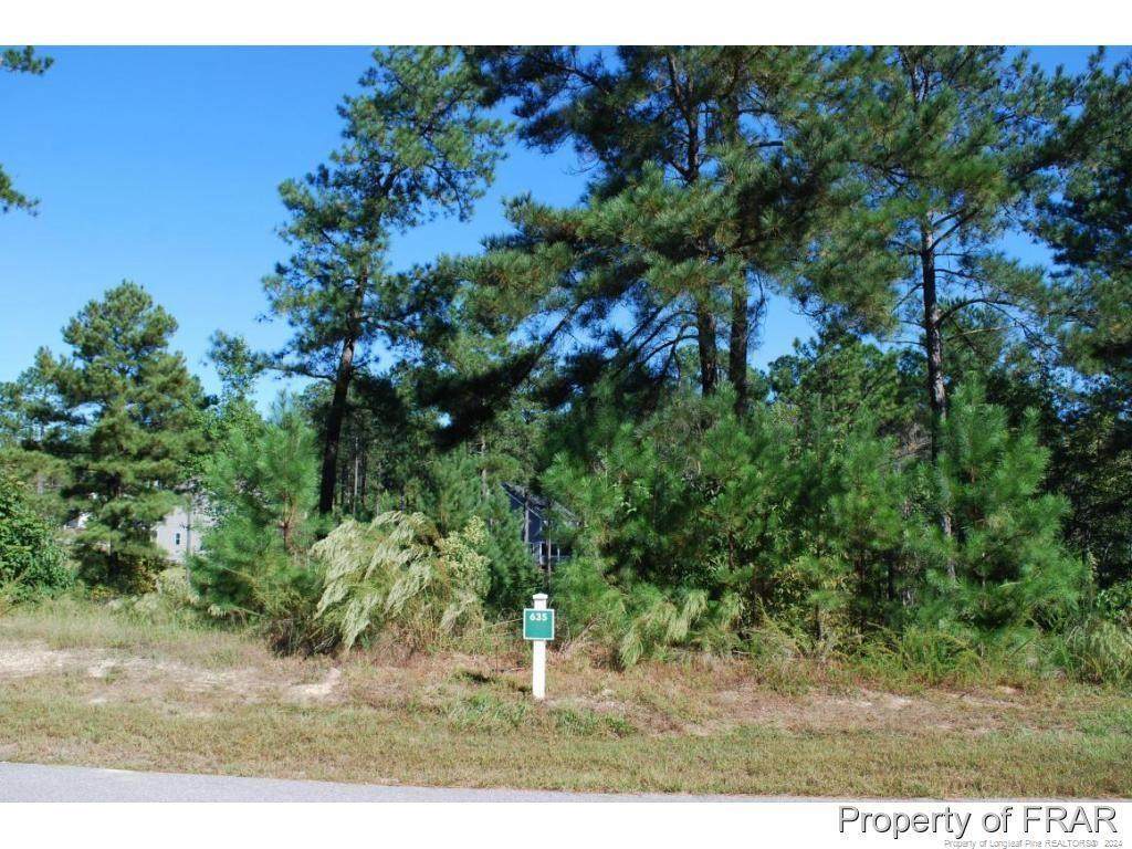 152 Broadlake (635) Lane - Photo 1