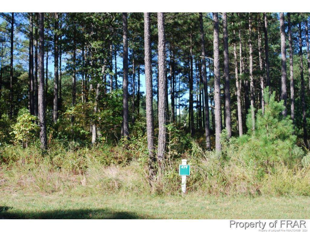 45 Broadlake (479) Lane - Photo 1