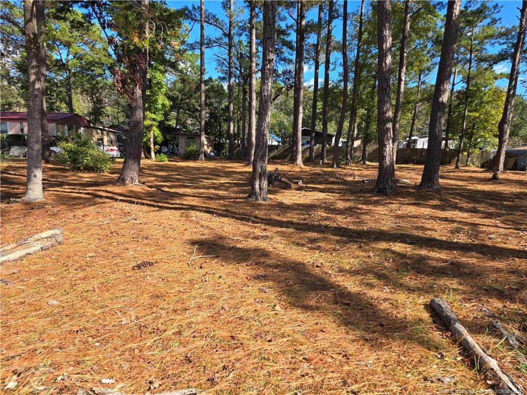 1641 Pine Valley Drive - Photo 1