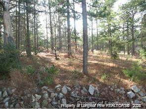 317 Lakeview Drive - Photo 1