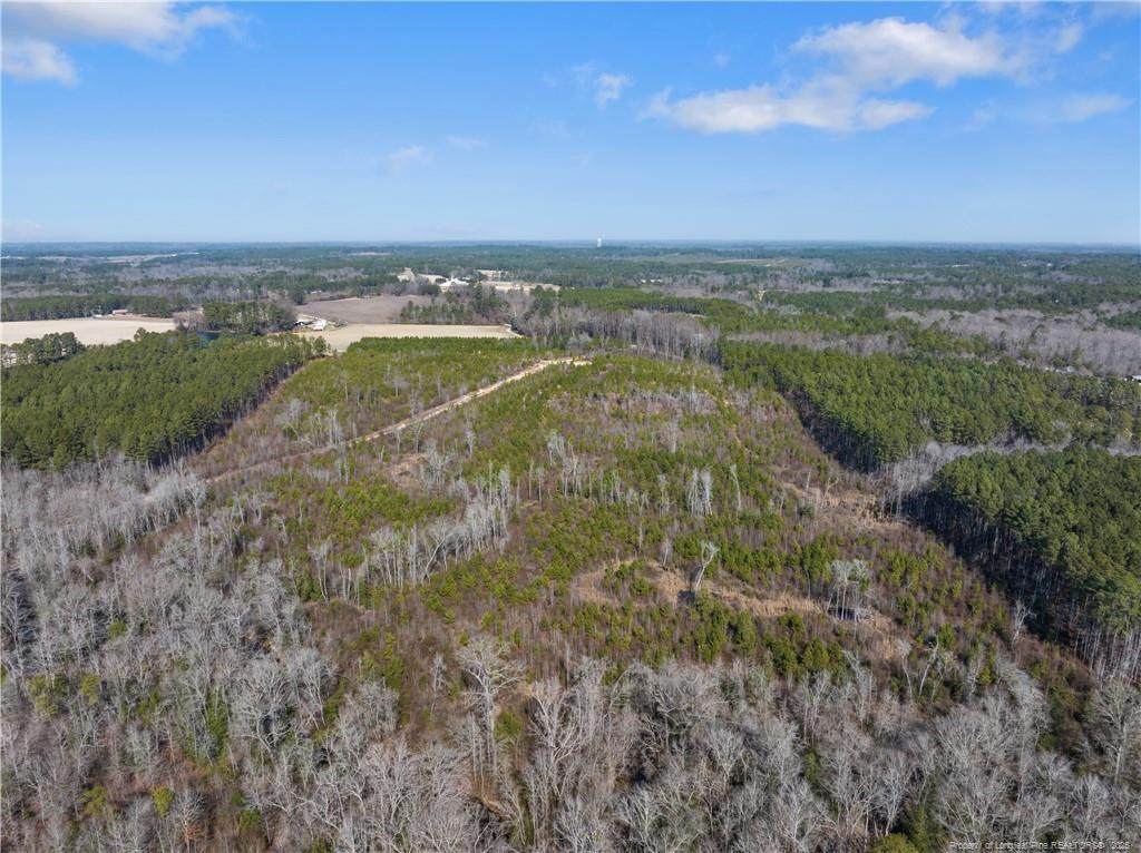 TBD Misty Morning Trail - Photo 1