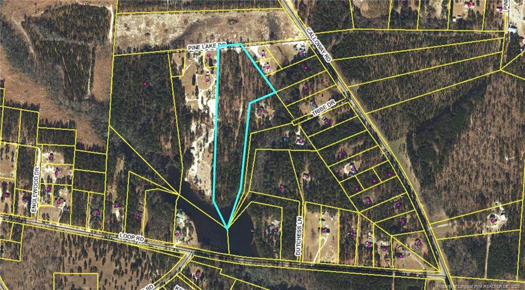 TBD Pine Lake Drive - Photo 1