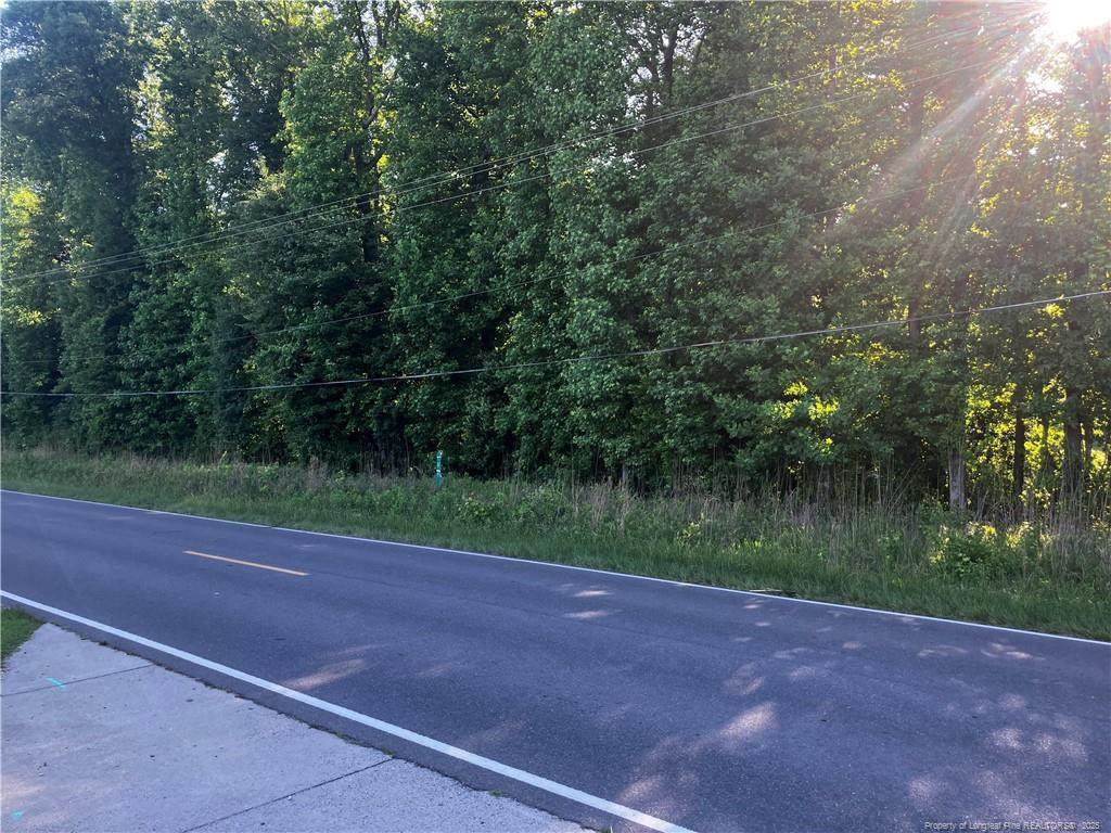 0 Lemon Springs Road - Photo 1