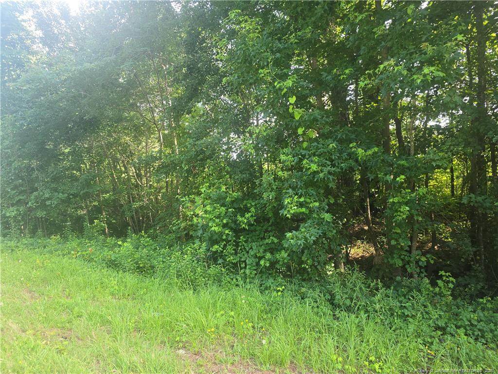 Rockfish Road - Photo 1