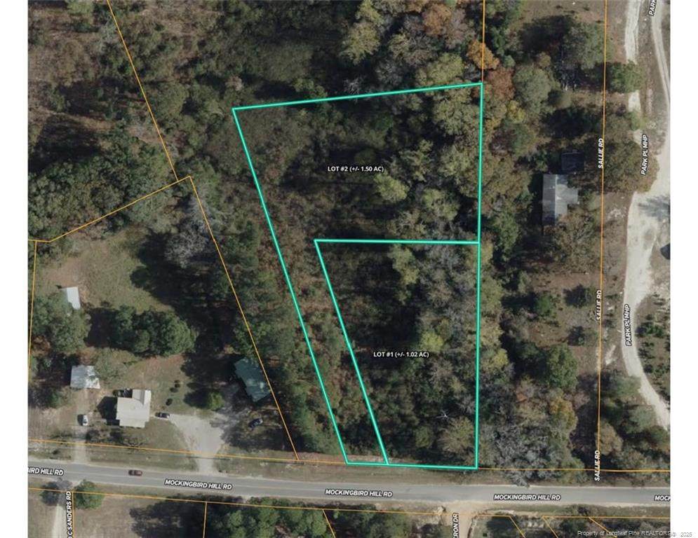 0 Mockingbird Hill (Lot 2) Road - Photo 1