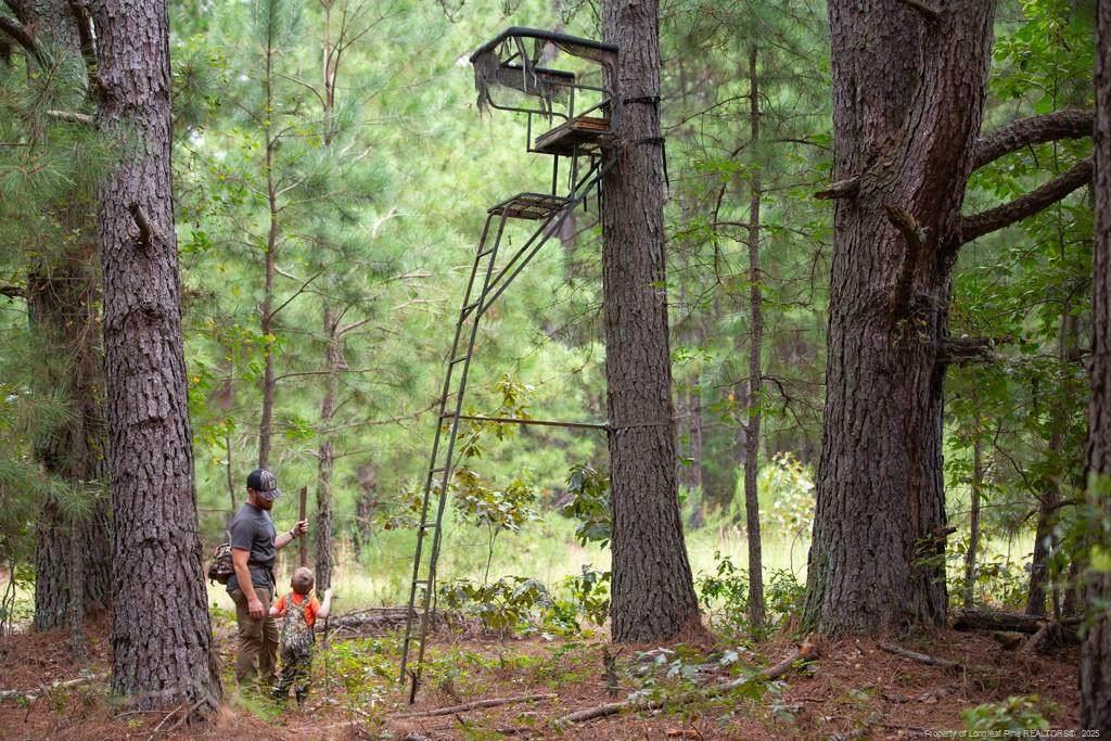 00 Blue Woods Road - Photo 1