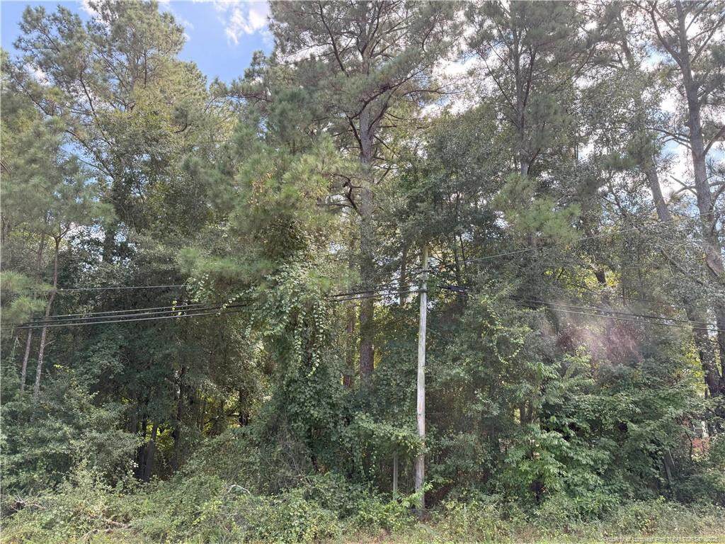 Lot 3 Williams Street - Photo 1