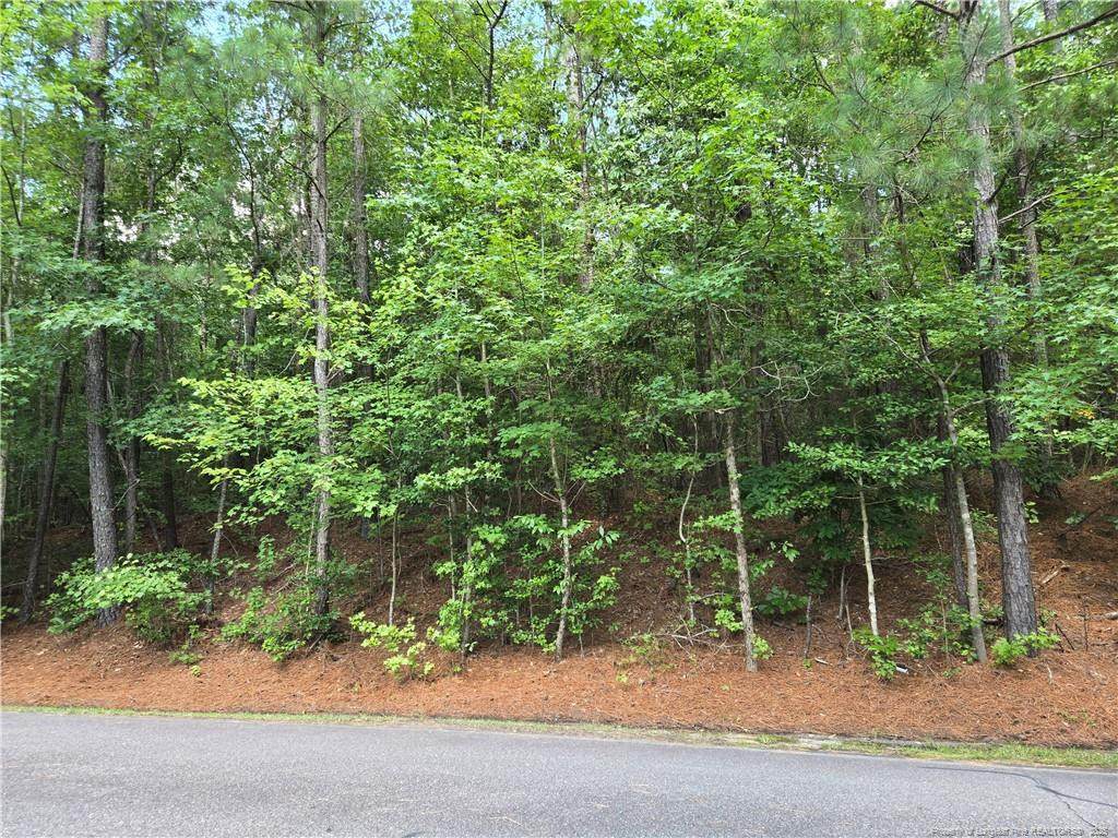 893 Loblolly Drive - Photo 1